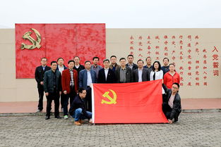 县委组织部机关党支部开展 纪念铜陵解放70周年 主题党日活动