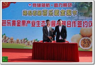 藤县17乡镇土特产齐聚藤州广场，千余群众共赏家乡美味，最受欢迎产品揭晓