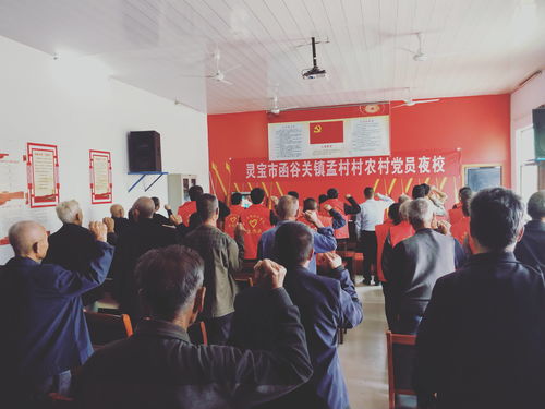 灵宝市函谷关镇 丰富活动内容，增强活动实效——组织部工作实践探索